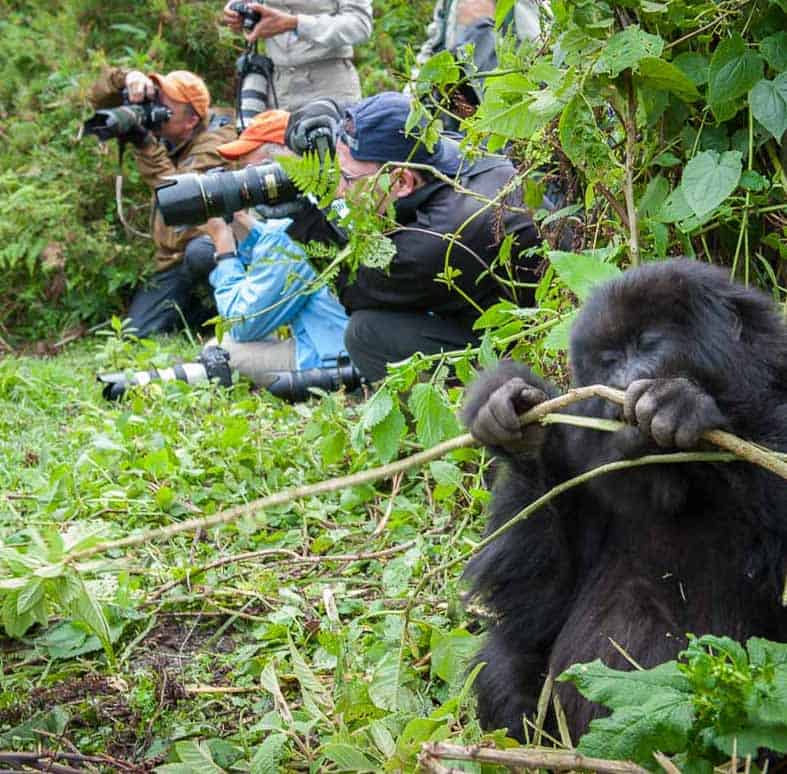 cross Africa safaris website; best Tanzania safari tours